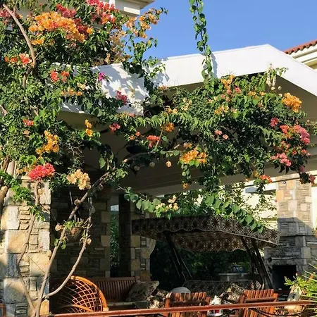 Pedaliza Muğla