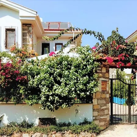 Villa Pedaliza