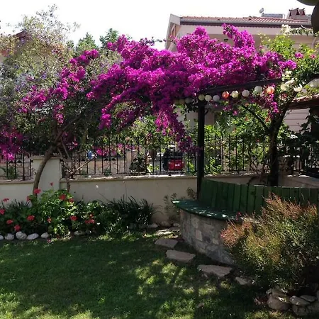 Pedaliza Muğla