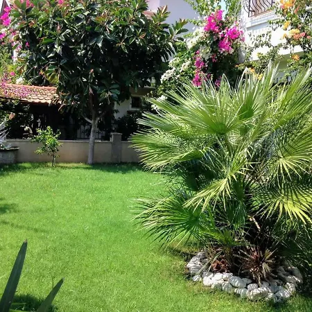 Pedaliza * Muğla