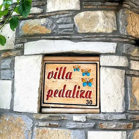 Pedaliza * Μούγκλα
